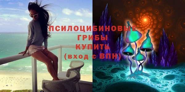 спайс Алексеевка